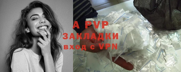 ECSTASY Михайлов