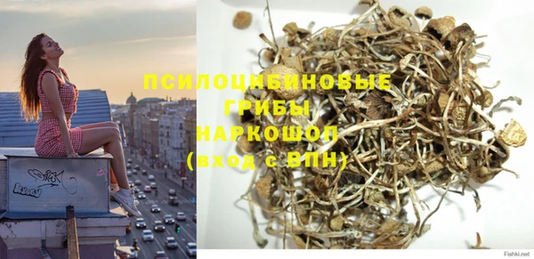 мяу мяу мука Михайловка