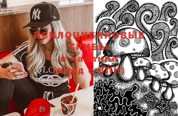 мяу мяу мука Михайловка